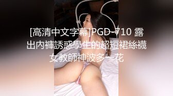 [高清中文字幕]PGD-710 露出內褲誘惑學生的超短裙絲襪女教師神波多一花